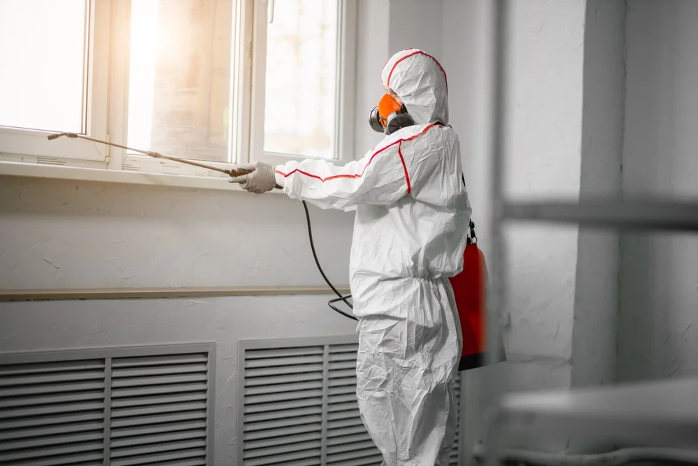 Professional mold remediation services in Fort Myer, VA
